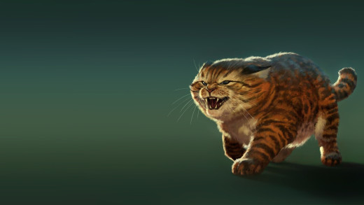 1128478 (a): :1920x1080